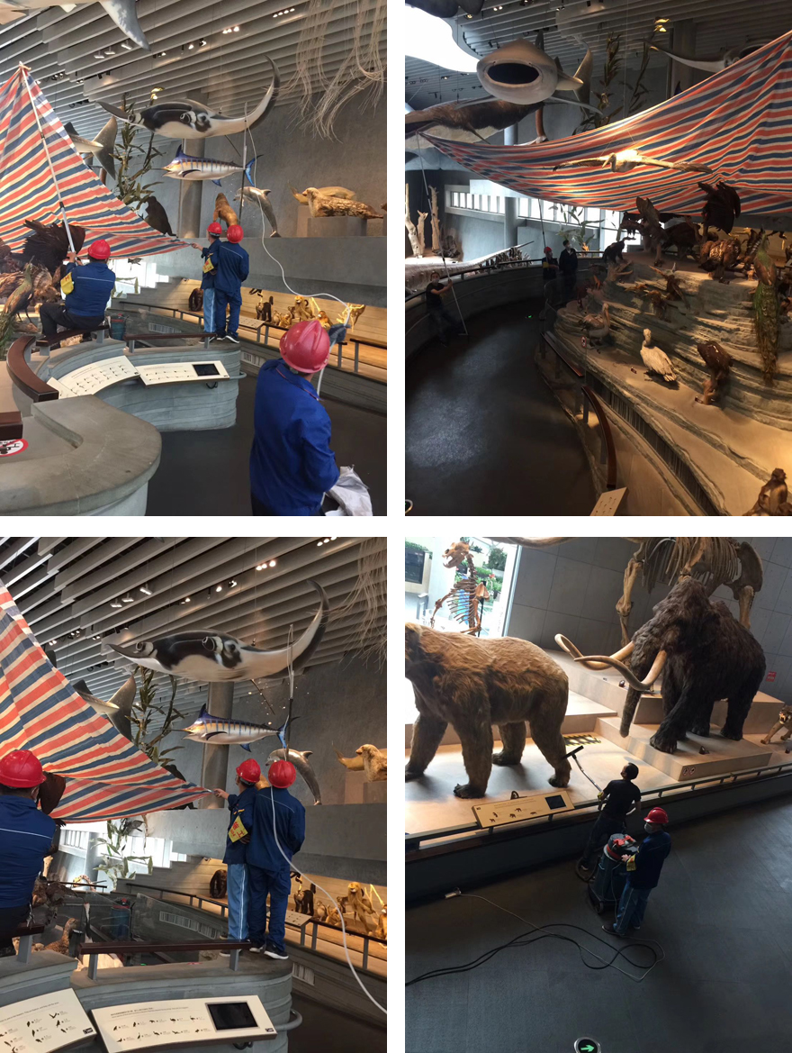 自然博物館.jpg 自然博物館.jpg