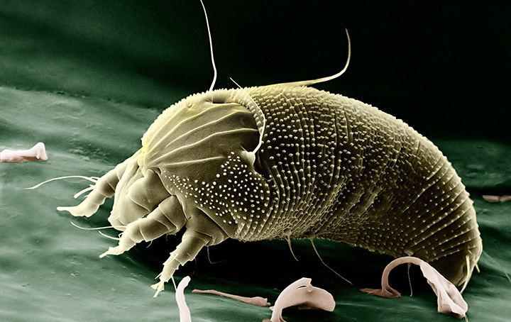 201856162221403964.jpg 201856162221403964.jpg