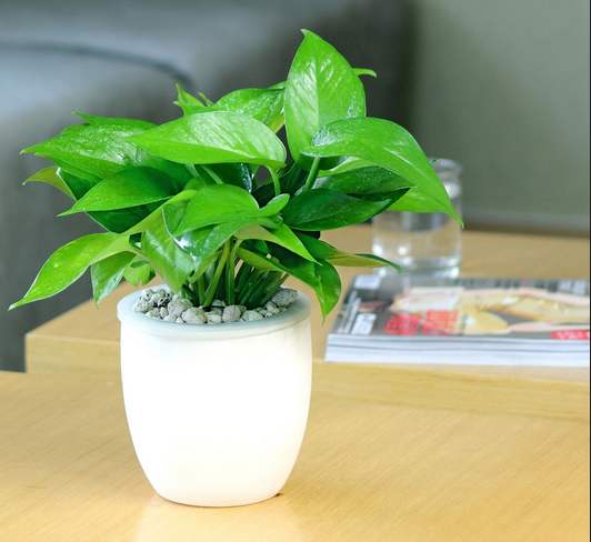 2020421945298594409.jpg 2020421945298594409.jpg