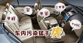 車內甲醛正常值以及車內放什么東西可以除甲醛?