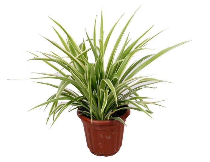 201912693353151645.jpg 201912693353151645.jpg