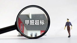 寵物們也會甲醛中毒？快看這些甲醛超標特征你家有沒有？