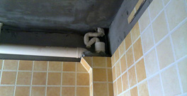 樓上廁所的排水管道和衛生間漏水，應該誰負責？應該怎么處理？