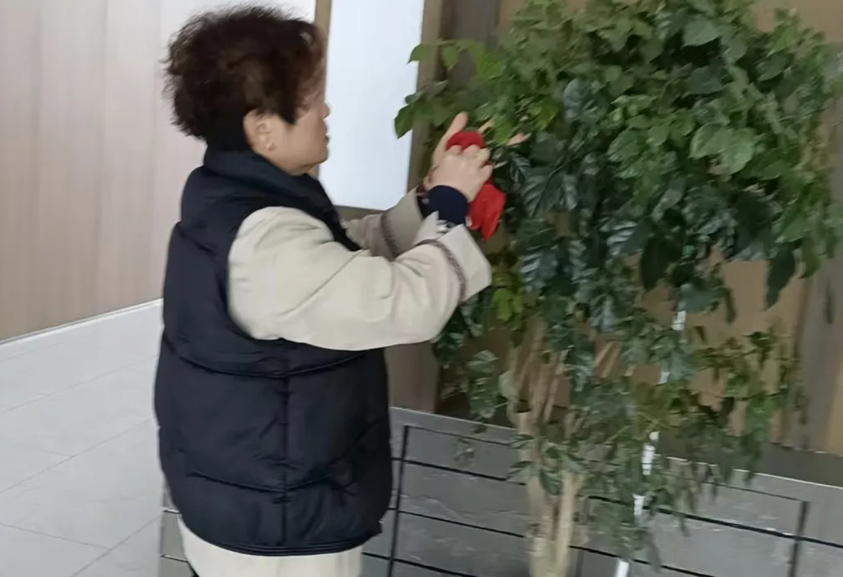 懶人必備|每天10分鐘搞定日常保潔的終極清單