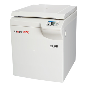 ������x����������x�ęC(j��)CL6R